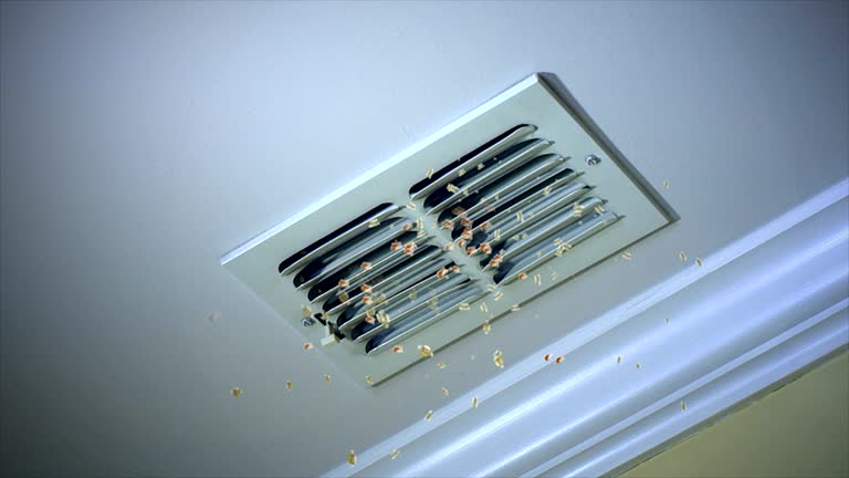 Best Local Air Duct Cleaning Services  in Clinton, MI
