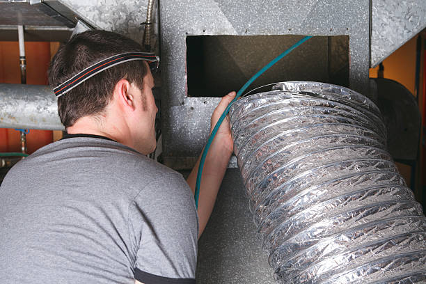 Best Home Air Vent Cleaning  in Clinton, MI
